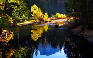 Картинка лес, осень, ожеро, отражение, деревья, горы