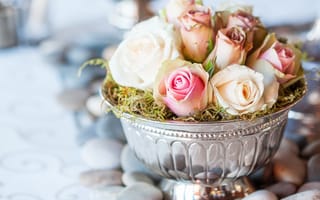 Картинка цветы, розы, ваза, камешки