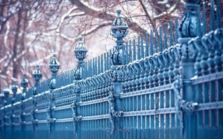Картинка cold, Leipzig, urban, trees, fence, city, blue