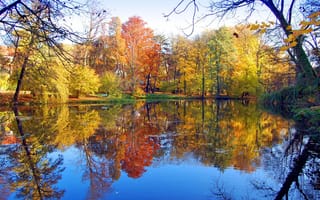 Картинка парк, деревья, листья, отражение, осень, пруд, скамейка