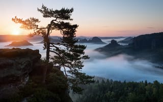 Картинка Саксонская Швейцария, небо, Эльбские Песчаниковые горы, туман, лес, утро
