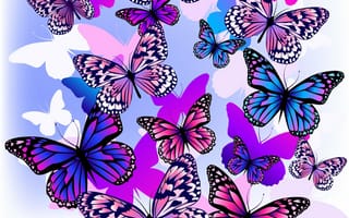 Картинка бабочки, белый фон, полет, цвета
