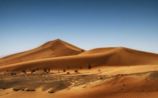 Картинка dune, песок, природа, небо, пустыня, дюны, трава, dunes