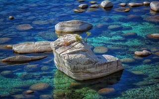Картинка Bonsai Rock, камни, скала, природа, озеро, Lake Tahoe