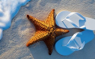 Картинка summer, starfish, sand, step-ins, beach, vacation, sea