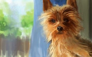 Картинка KingCloud, арт, собака, взгляд