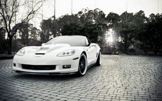 Картинка Chevrolet, свет, черно-белый, деревья, corvette, белая, zr1