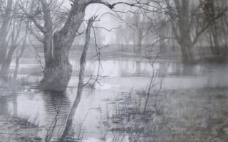 Картинка рисунок, туман, карандаш, деревья