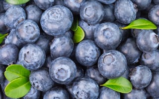 Обои blueberry, голубика, fresh, черника, ягоды, berries