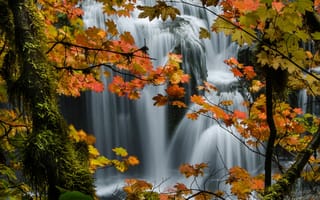 Картинка осень, водопад, природа, лес, деревья