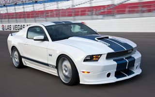 Картинка Ford, спортивные полосы, белый, стадион, форд, трасса, Mustang, шелби, GT350, white, Shelby, мустанг, трек, скорость