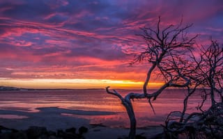 Картинка Beach, Coffin Bay, orange, Sunset, pink