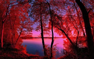 Картинка небо, осень, фильтр, закат, деревья, река