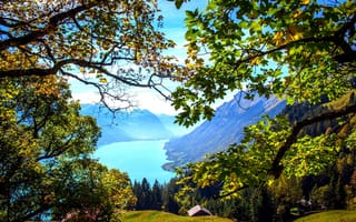 Картинка Швейцария, горы, лес, домики, озеро, ветки, листья, Brienz