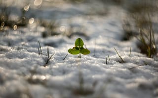Картинка Good luck Greenpeace, снег, зима, природа