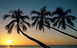 Обои природа, закат, солнце, море, небо, пальмы