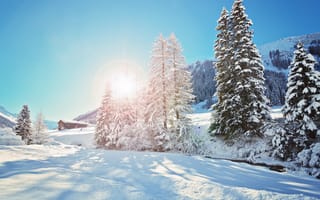 Картинка зима, деревья, хижина, снег