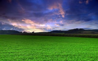 Картинка пейзажи, небо, поле, зелёный, природа, трава