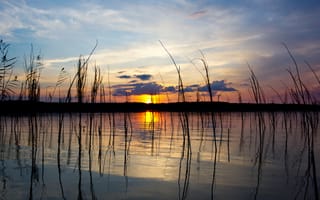 Картинка вечер, озеро, солнце, трава, отражение