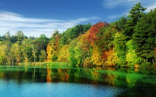 Картинка небо, лес, деревья, осень, озеро, облака