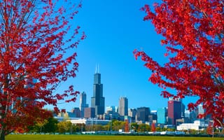 Картинка парк, город, осень, трава, США, деревья, небо, Чикаго