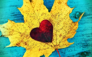 Картинка leaf, fall, сердце, листья, love, leaves, листопад, autumn, любовь, heart