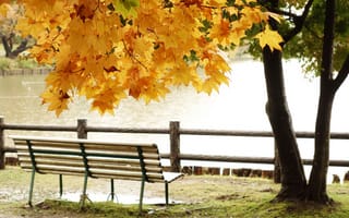 Картинка парк, осень, пруд, листья, дерево, скамья, озеро