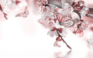 Картинка веточки, весна, бабочка, вода, цветочки, цветение