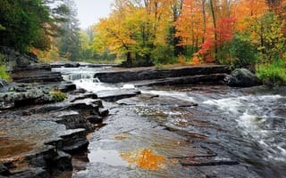 Картинка осень, ручей, Michigan, течение, пороги, лес, Alberta, США, камни, деревья
