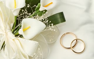 Картинка цветы, calla, wedding, rings