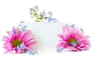 Картинка цветы, лепестки, flowers