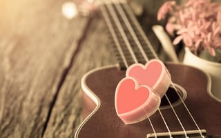 Картинка vintage, цветы, heart, romantic, гитара, сердце, love