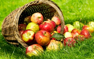 Картинка apples, fruits, summer