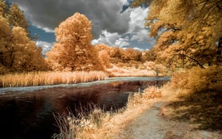 Обои река, природа, осень