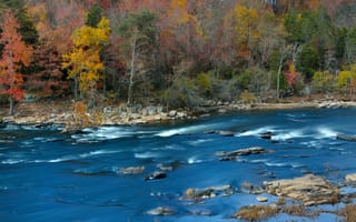 Картинка лес, река, поток, деревья, осень, камни