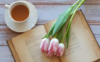 Картинка цветы, любовь, тюльпаны, чай