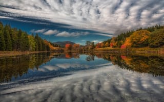 Картинка река, озеро, осень, лес, отражение