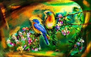 Обои птицы, цветы, ветка, арт