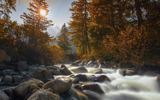 Картинка река, осень, природа, деревья