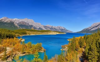 Картинка Abraham Lake, Канада, озеро Эйбрахам, Альберта, горы, Alberta, Канадские Скалистые горы, лес, озеро, Canada, Canadian Rockies