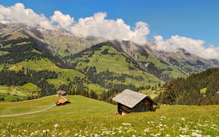 Картинка Berner Oberland, горы, солнце, холмы, домики, облака, деревья, цветы, долина, трава, Switzerland, поля