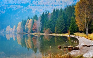 Картинка осень, берег, деревья, отражение, камни, вода, река, лес