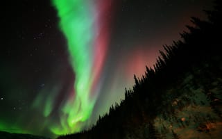 Картинка Aurora Borealis, ночь, северное сияние, природа, звезды