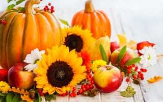 Картинка autumn, яблоки, листья, pumpkin, тыква, фрукты, желуди, груши, sunflower, урожай, осень, подсолнухи, harvest, ягоды
