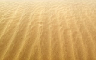 Картинка макро, ветер, пляжи, берег, песок, желтые, песчинка, побережье, песчинки, пески