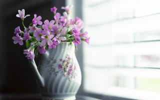 Картинка цветы, ваза