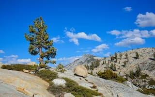 Картинка Yosemite National Park, скалы, дерево, небо, облака, Йосемити, камни, горы, Калифорния, природа, национальный парк