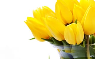Картинка тюльпаны, ваза, желтые, белый