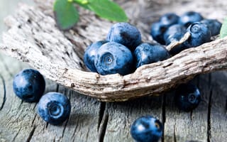 Картинка blueberry, ягоды, черника, голубика, fresh, wood, berries