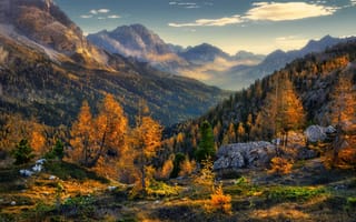 Картинка горы, природа, деревья, лес, пейзаж, осень